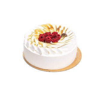 Entremet glacé yaourt fruits des bois