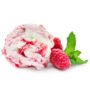 Glace yaourt fruits des bois
